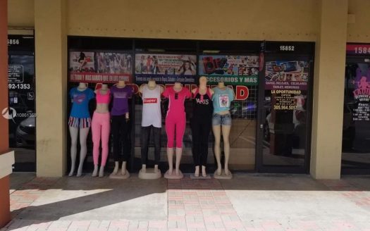 15852 SW 137 Ave, Miami, FL 33177