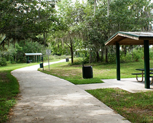 ContenidoTownatLegacyPark