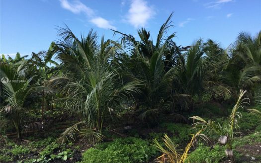 4860 SW 192nd Ter, Southwest Ranches Fl 33332