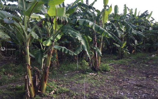 4860 SW 192nd Ter, Southwest Ranches Fl 33332