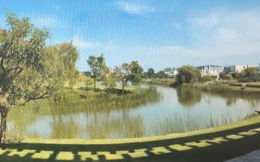 GOLF NORDELTA Cc Argentina