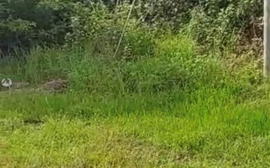 950 SW McDevitt Ave, Port St. Lucie, FL 34953