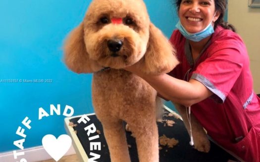 N STATE 7 Coral Springs, FL 33073