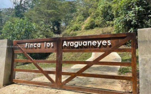 Vda. Marayal Caney Alto, ME 501037