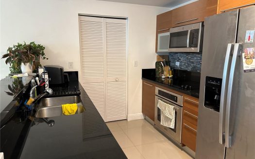 244 Biscayne Blvd #1210,  Miami, FL 33132-2351