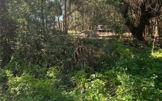 3145 NW 35TH Drive,  Okeechobee, FL 34972