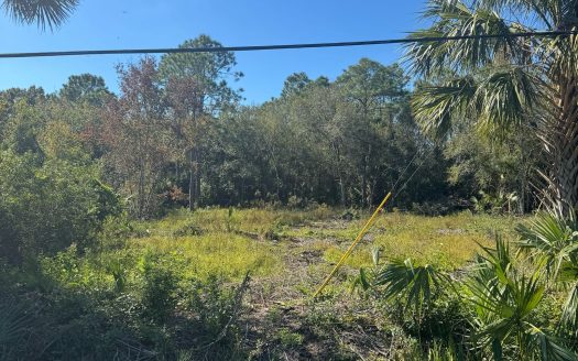 CR-138 Branford, FL 32008