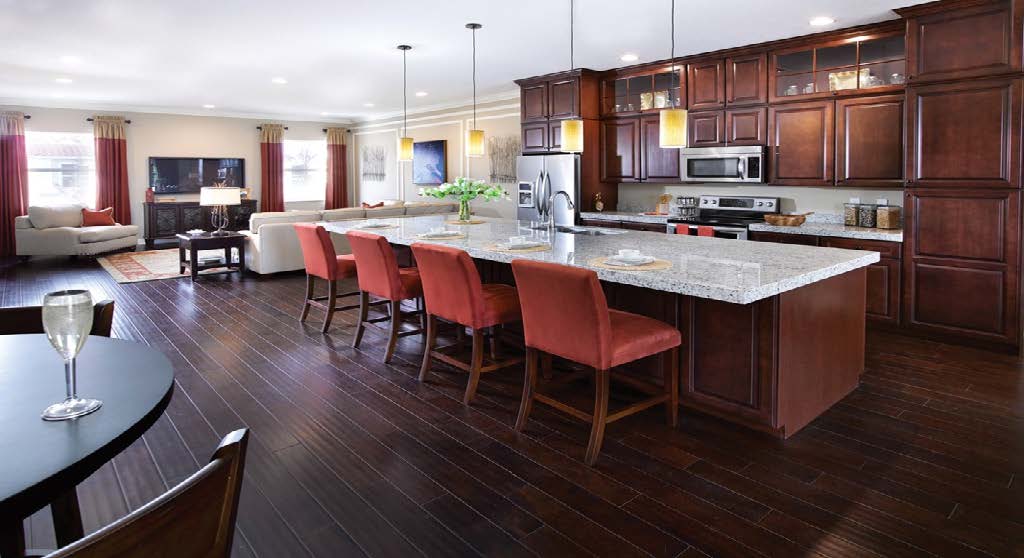 Centra Falls Potential Property Group