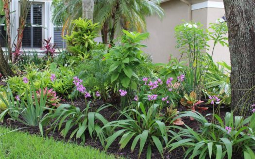 516 E Cascade Falls Dr, Weston, FL 33327